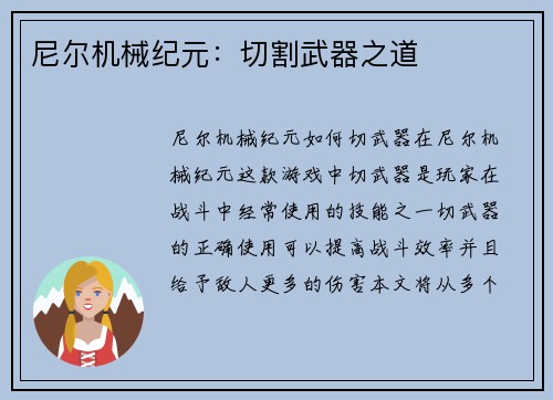 尼尔机械纪元：切割武器之道